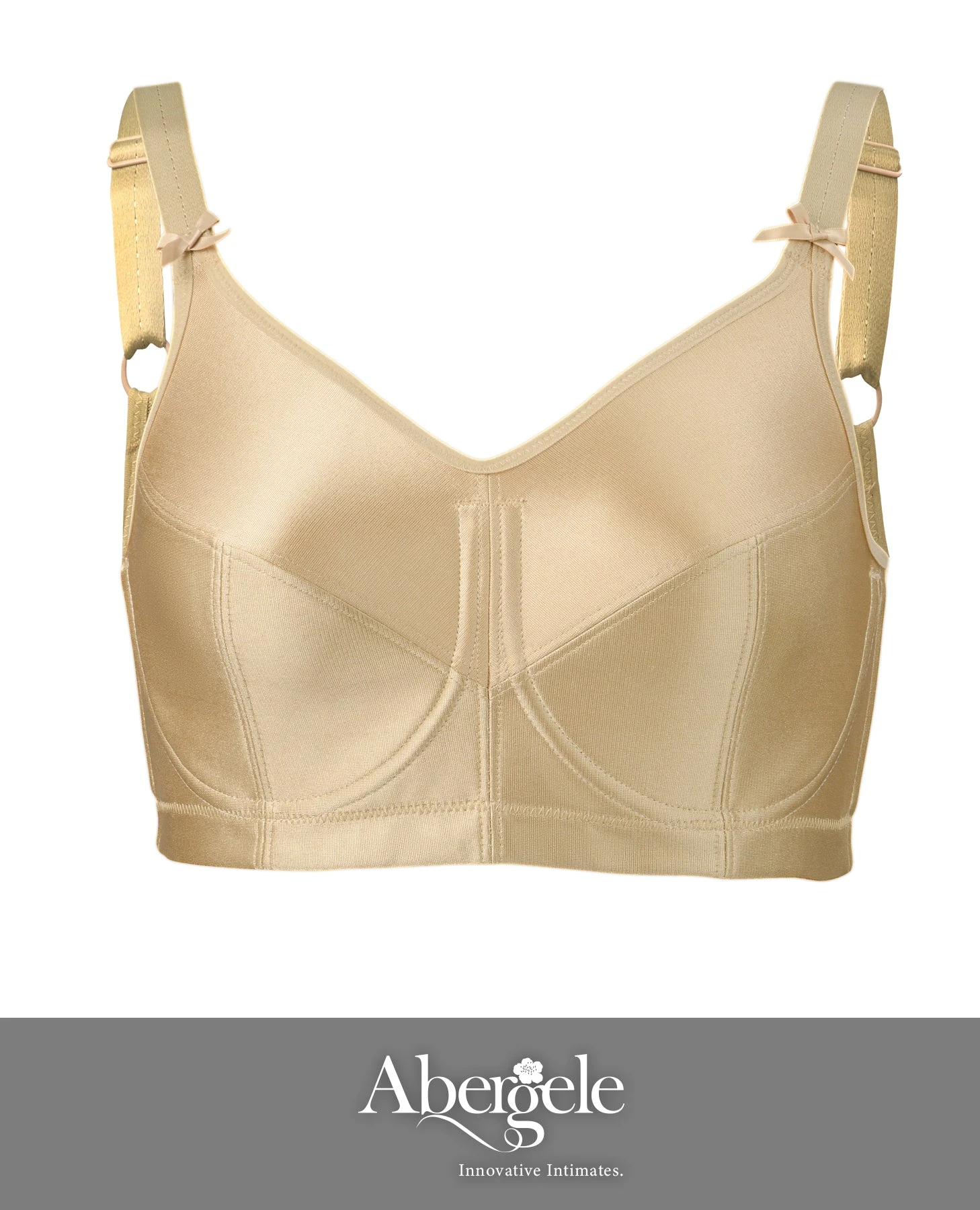 Abergele-Kaye Larcky ABC004 Shape Perfection Sport Minimizer Bra 1 Abergele-Kaye Larcky ABC004 Shape Perfection Sport Minimizer Bra