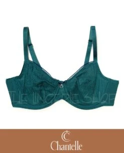 Chantelle CHL2211 C-Graphique 3-Part Cup Underwire Bra 5 Chantelle CHL2211 C-Graphique 3-Part Cup Underwire Bra -Fashionable Home Wear Chantelle 2211 Green F