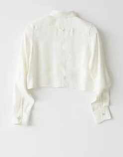 Fashionable Home Wear -Fashionable Home Wear JewelButtonBlouse.Ivory2